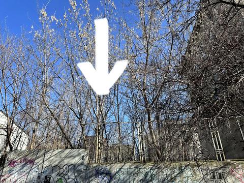 участок по адресу Терещенковская ул., 3