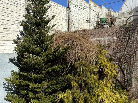 будинок за адресою Хмельницького, 1