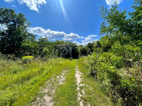 участок по адресу Набережно-Дніпровська, 55