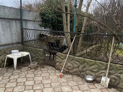 дом по адресу Нижняя, 22