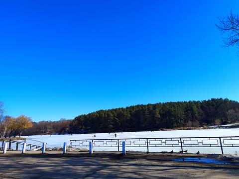 квартира по адресу Курсанта Еськова ул., 26-А