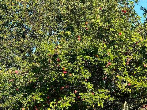 будинок за адресою смт. Велика Березовиця, Заводская