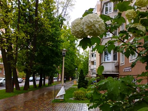 квартира за адресою Соборна, 109