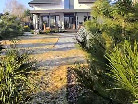 будинок за адресою Шевченко