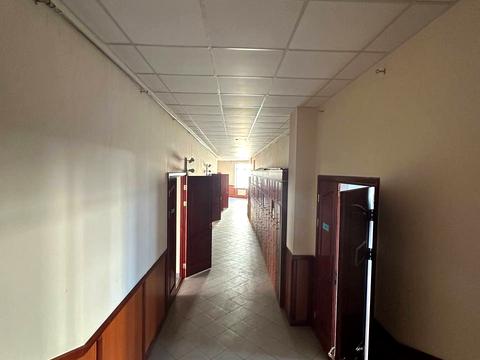 комерційна за адресою Євгена Коновальця вул. (Щорса), 36-Б