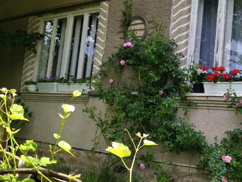 будинок за адресою Перемоги