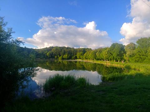 квартира за адресою Науки просп., 55-А