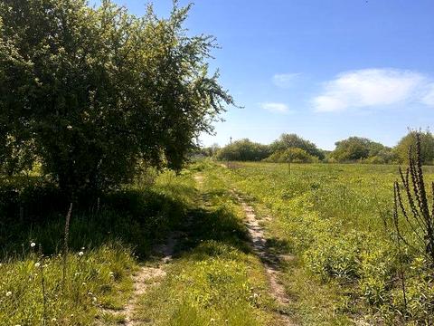 ділянка за адресою 