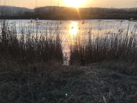 будинок за адресою Центральна вул.