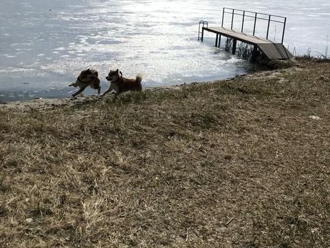 будинок за адресою Центральна вул.