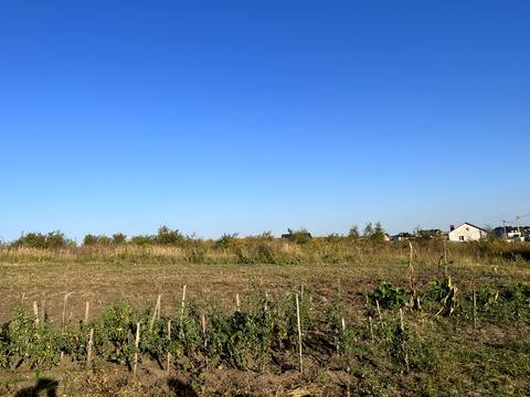 ділянка за адресою Степоа