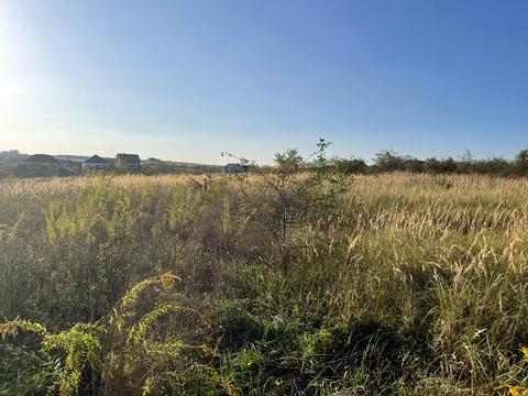 ділянка за адресою Степоа