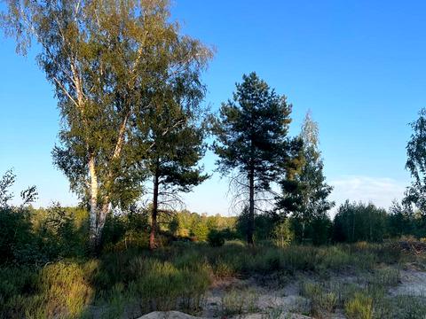 участок по адресу 