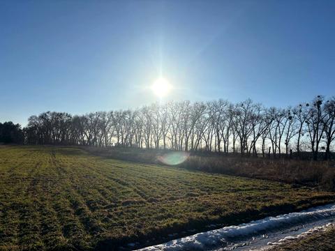 ділянка за адресою с. Шибене, 