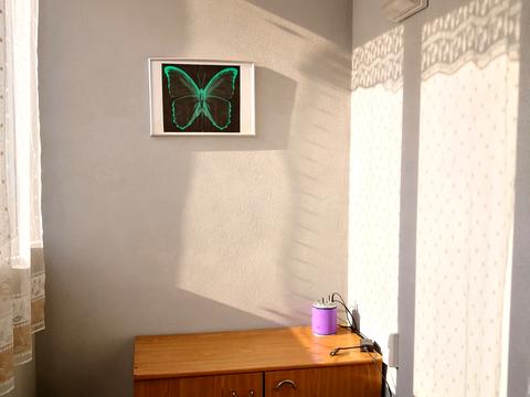 квартира за адресою Сім'ї Стешенків вул. (Тимофія Строкача), (Будинок 1)