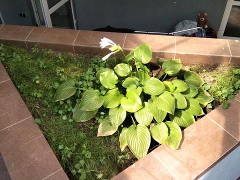 квартира по адресу Полтавская ул., 27-Д