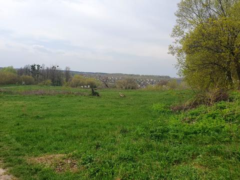 участок по адресу вул. Миколи Аркаса, 4