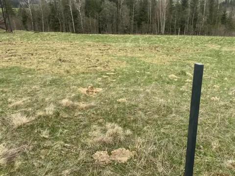 ділянка за адресою 