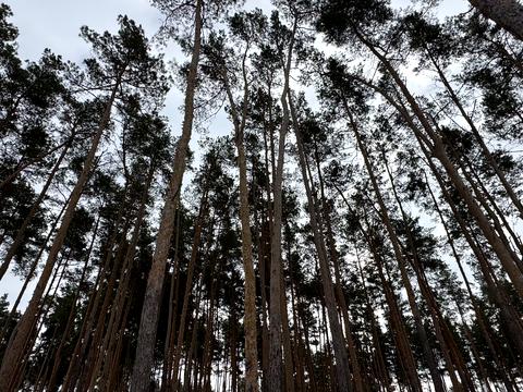 дом по адресу Льва Симиренко ул.