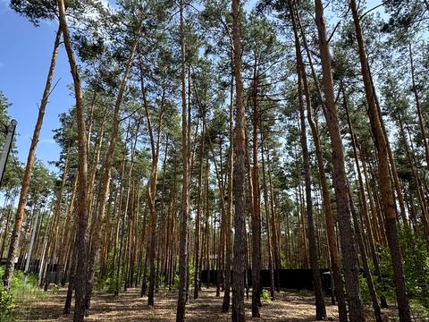 дом по адресу Льва Симиренко ул.