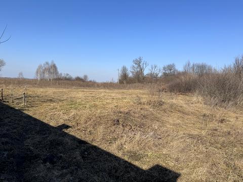 ділянка за адресою с. Біла Криниця, долинова