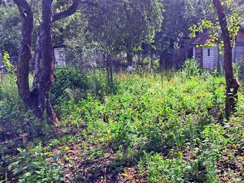 ділянка за адресою Миру просп.