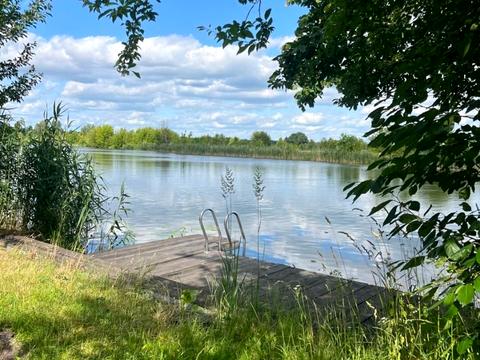 дом по адресу СТ Дніпро 86, 132