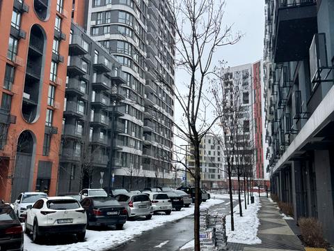 комерційна за адресою Тадея Рильського бульв., 9