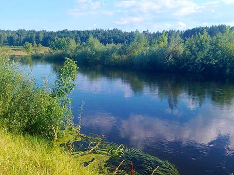дом по адресу с. Любовичи, Старолюбовицкая ул. (Чапаєва)