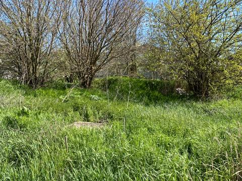 участок по адресу провулок Уютний