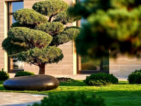 комерційна за адресою Паркова вул., (Будинок 2.1 Vita)