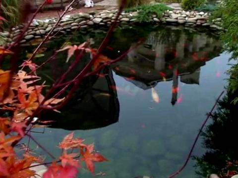 дом по адресу Парусная, 12