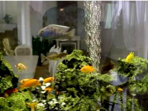 дом по адресу Парусная, 12