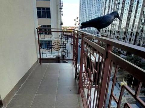 квартира по адресу Жемчужная ул., 2