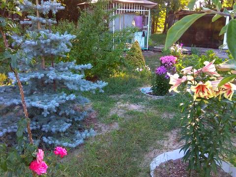 ділянка за адресою Дніпровська