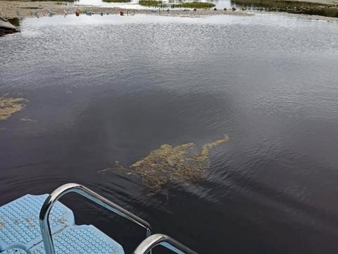 ділянка за адресою Дніпровська