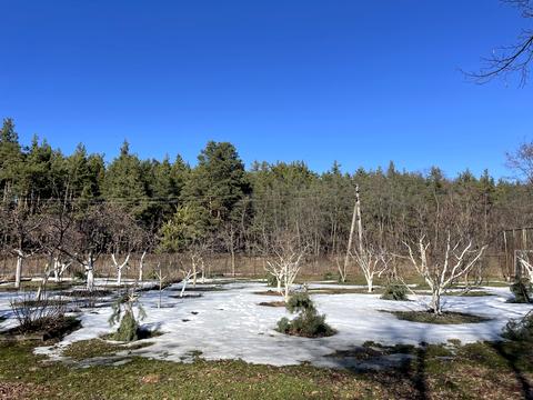 ділянка за адресою Дніпровська