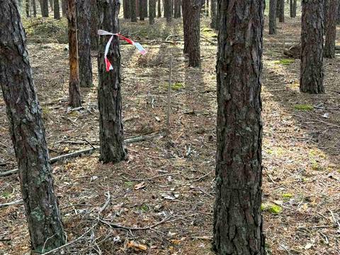 ділянка за адресою 