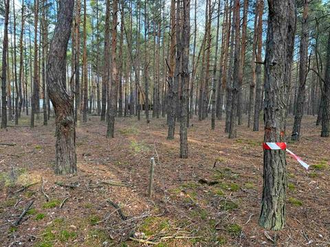 ділянка за адресою 