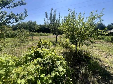 будинок за адресою с. Біла, Чиста вул., 13