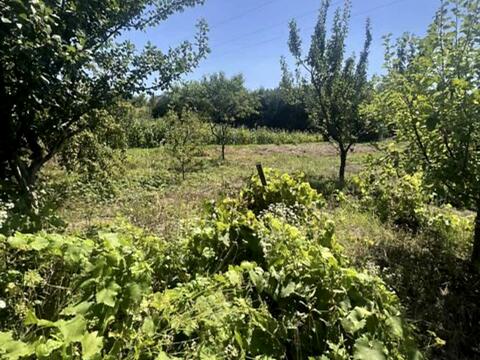 будинок за адресою с. Біла, Чиста вул., 13