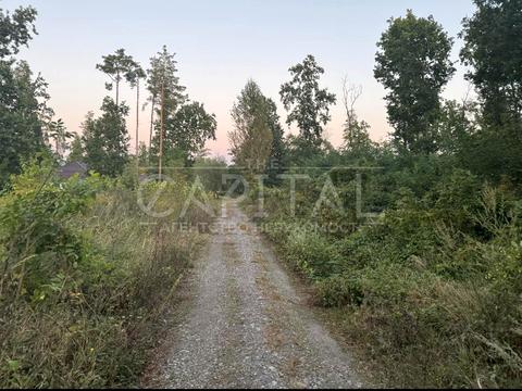 ділянка за адресою вул. Центральна