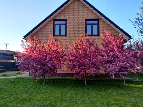 дом по адресу Тургенева ул.