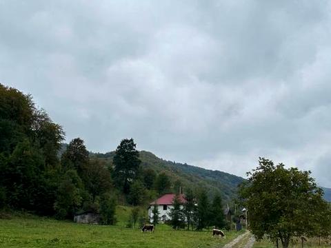 будинок за адресою Свободи вул., 204