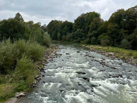 будинок за адресою Свободи вул., 204