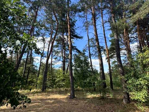 участок по адресу Єдності ул.