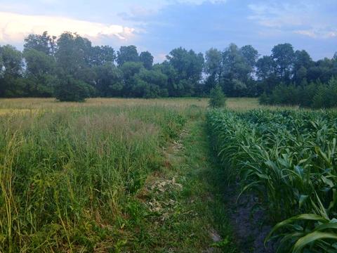 ділянка за адресою 