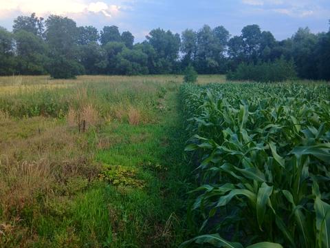 ділянка за адресою 