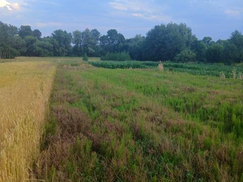 ділянка за адресою 