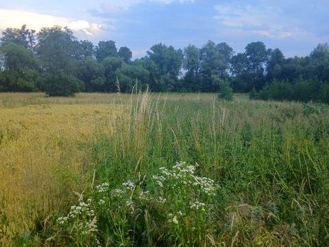 ділянка за адресою 